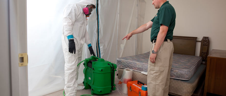 Mar Vista, CA mold removal process